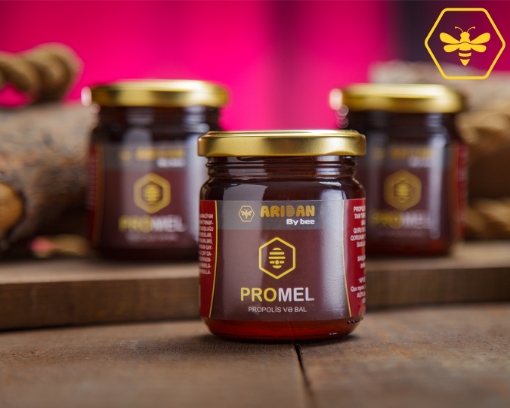 Promel 250 qr (Propolis balda) şəkil